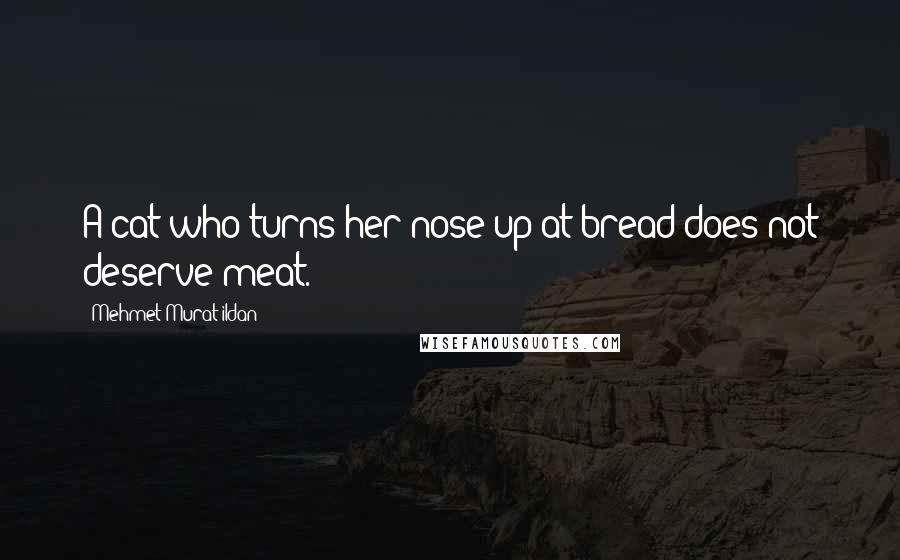 Mehmet Murat Ildan Quotes: A cat who turns her nose up at bread does not deserve meat.