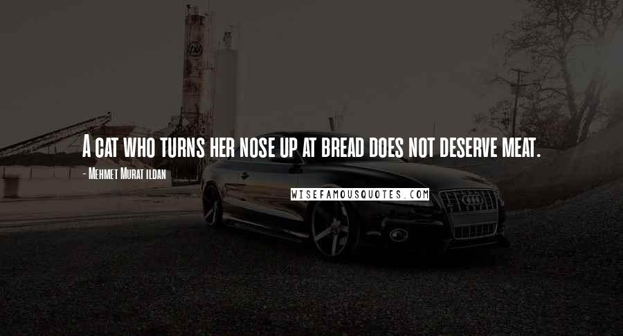 Mehmet Murat Ildan Quotes: A cat who turns her nose up at bread does not deserve meat.