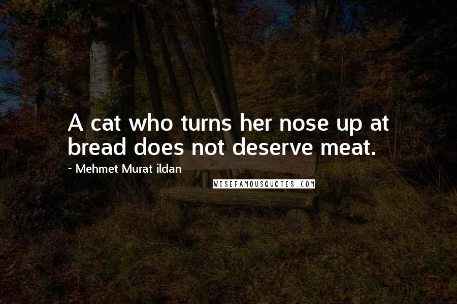 Mehmet Murat Ildan Quotes: A cat who turns her nose up at bread does not deserve meat.
