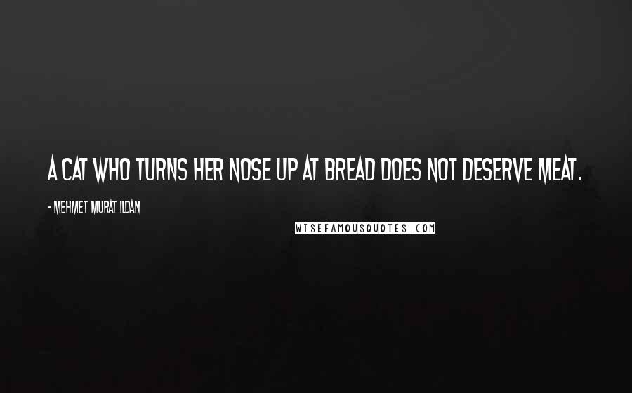 Mehmet Murat Ildan Quotes: A cat who turns her nose up at bread does not deserve meat.