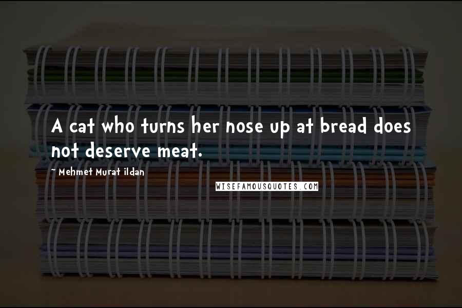 Mehmet Murat Ildan Quotes: A cat who turns her nose up at bread does not deserve meat.
