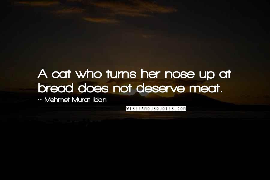 Mehmet Murat Ildan Quotes: A cat who turns her nose up at bread does not deserve meat.