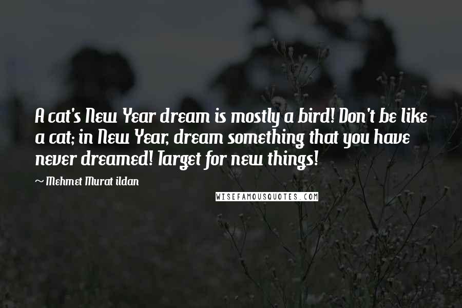 Mehmet Murat Ildan Quotes: A cat's New Year dream is mostly a bird! Don't be like a cat; in New Year, dream something that you have never dreamed! Target for new things!