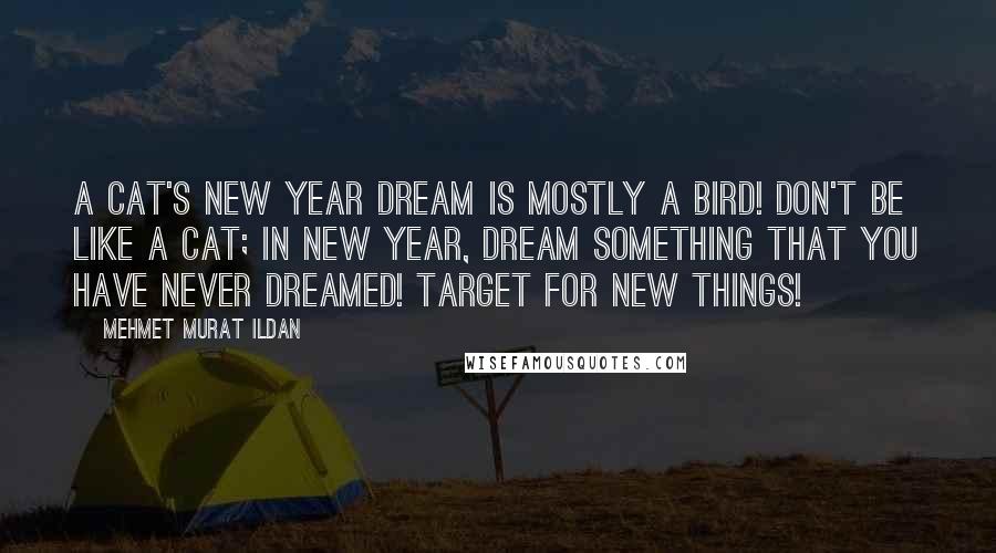 Mehmet Murat Ildan Quotes: A cat's New Year dream is mostly a bird! Don't be like a cat; in New Year, dream something that you have never dreamed! Target for new things!