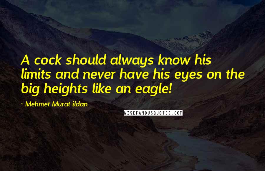 Mehmet Murat Ildan Quotes: A cock should always know his limits and never have his eyes on the big heights like an eagle!