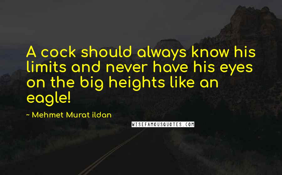 Mehmet Murat Ildan Quotes: A cock should always know his limits and never have his eyes on the big heights like an eagle!