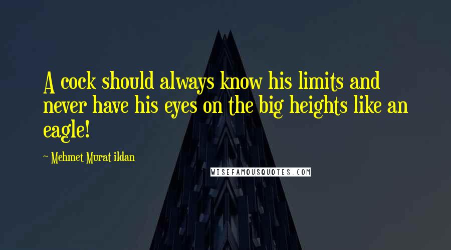 Mehmet Murat Ildan Quotes: A cock should always know his limits and never have his eyes on the big heights like an eagle!