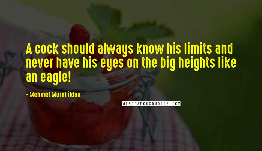 Mehmet Murat Ildan Quotes: A cock should always know his limits and never have his eyes on the big heights like an eagle!