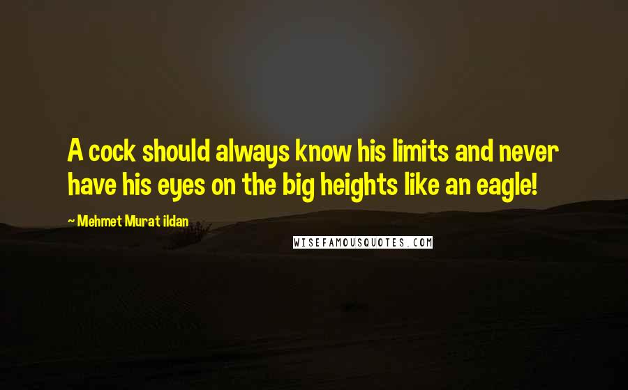 Mehmet Murat Ildan Quotes: A cock should always know his limits and never have his eyes on the big heights like an eagle!