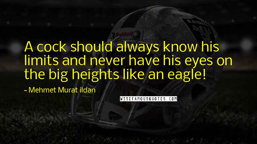 Mehmet Murat Ildan Quotes: A cock should always know his limits and never have his eyes on the big heights like an eagle!