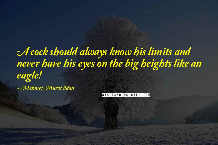 Mehmet Murat Ildan Quotes: A cock should always know his limits and never have his eyes on the big heights like an eagle!