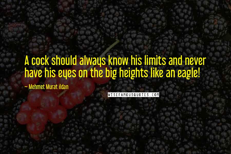 Mehmet Murat Ildan Quotes: A cock should always know his limits and never have his eyes on the big heights like an eagle!