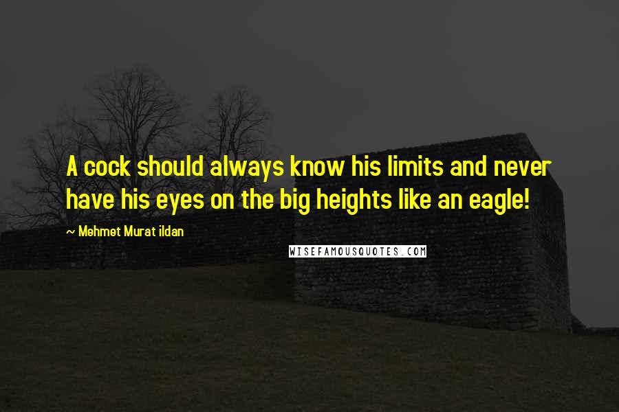 Mehmet Murat Ildan Quotes: A cock should always know his limits and never have his eyes on the big heights like an eagle!
