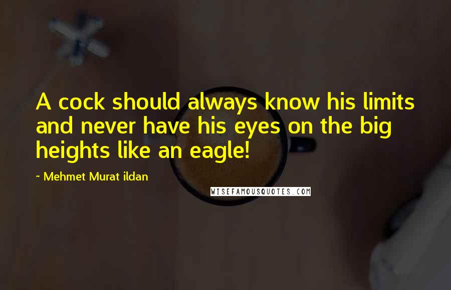 Mehmet Murat Ildan Quotes: A cock should always know his limits and never have his eyes on the big heights like an eagle!