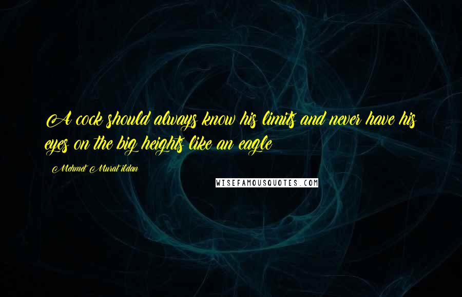 Mehmet Murat Ildan Quotes: A cock should always know his limits and never have his eyes on the big heights like an eagle!