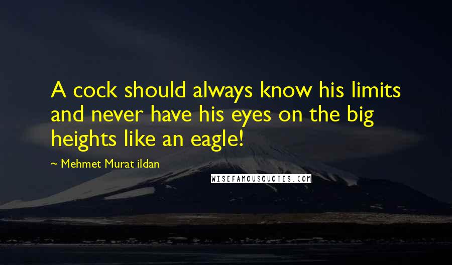 Mehmet Murat Ildan Quotes: A cock should always know his limits and never have his eyes on the big heights like an eagle!