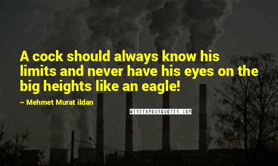 Mehmet Murat Ildan Quotes: A cock should always know his limits and never have his eyes on the big heights like an eagle!