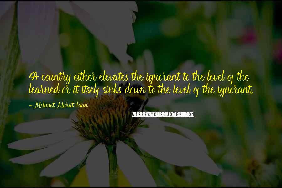 Mehmet Murat Ildan Quotes: A country either elevates the ignorant to the level of the learned or it itself sinks down to the level of the ignorant.