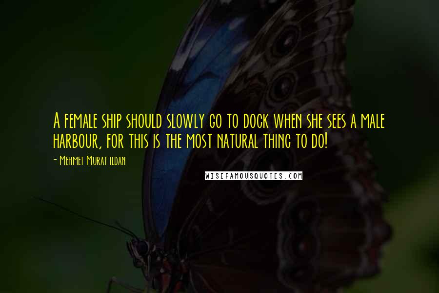 Mehmet Murat Ildan Quotes: A female ship should slowly go to dock when she sees a male harbour, for this is the most natural thing to do!