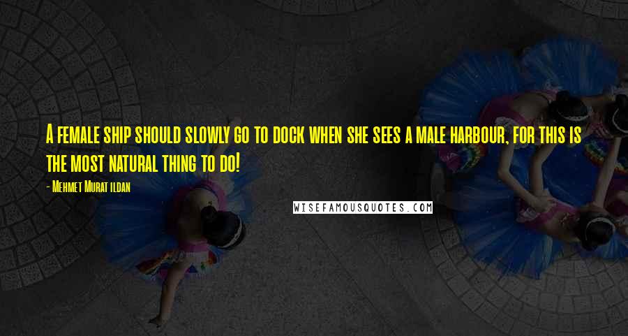 Mehmet Murat Ildan Quotes: A female ship should slowly go to dock when she sees a male harbour, for this is the most natural thing to do!