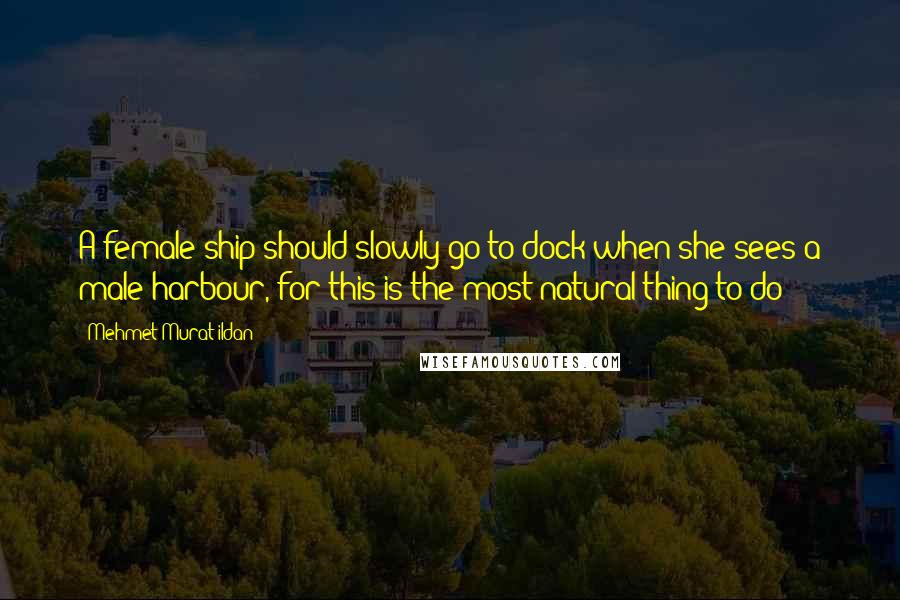 Mehmet Murat Ildan Quotes: A female ship should slowly go to dock when she sees a male harbour, for this is the most natural thing to do!
