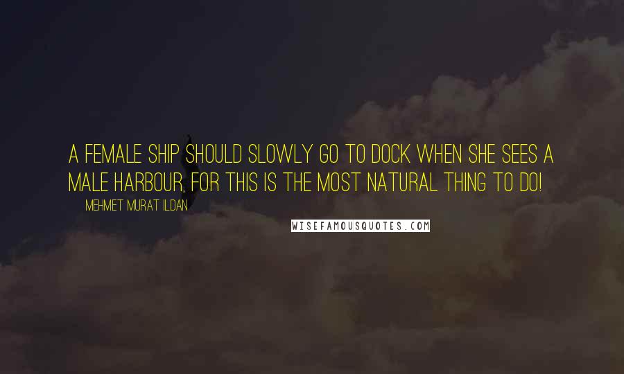 Mehmet Murat Ildan Quotes: A female ship should slowly go to dock when she sees a male harbour, for this is the most natural thing to do!
