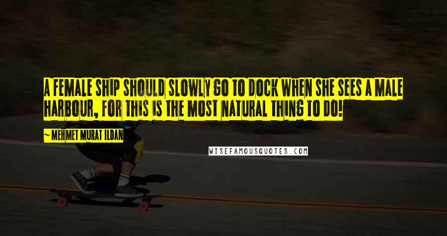 Mehmet Murat Ildan Quotes: A female ship should slowly go to dock when she sees a male harbour, for this is the most natural thing to do!