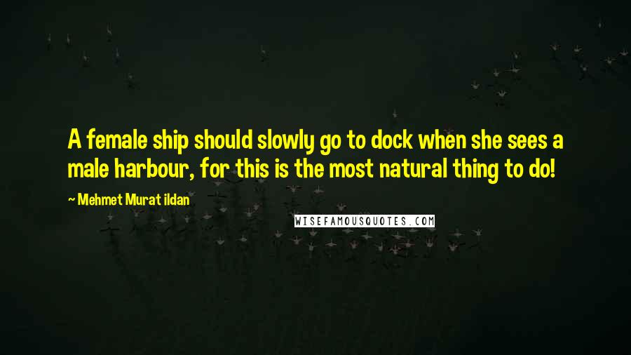 Mehmet Murat Ildan Quotes: A female ship should slowly go to dock when she sees a male harbour, for this is the most natural thing to do!