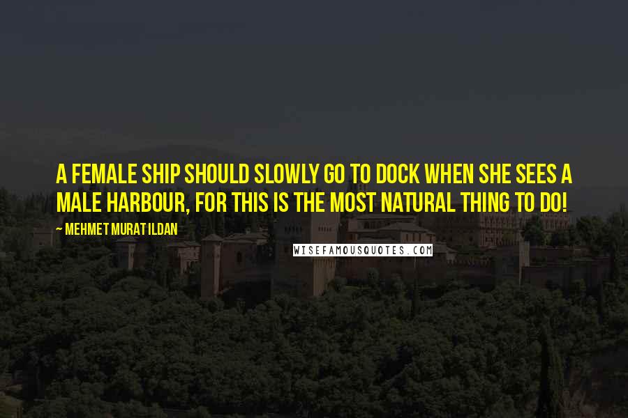 Mehmet Murat Ildan Quotes: A female ship should slowly go to dock when she sees a male harbour, for this is the most natural thing to do!