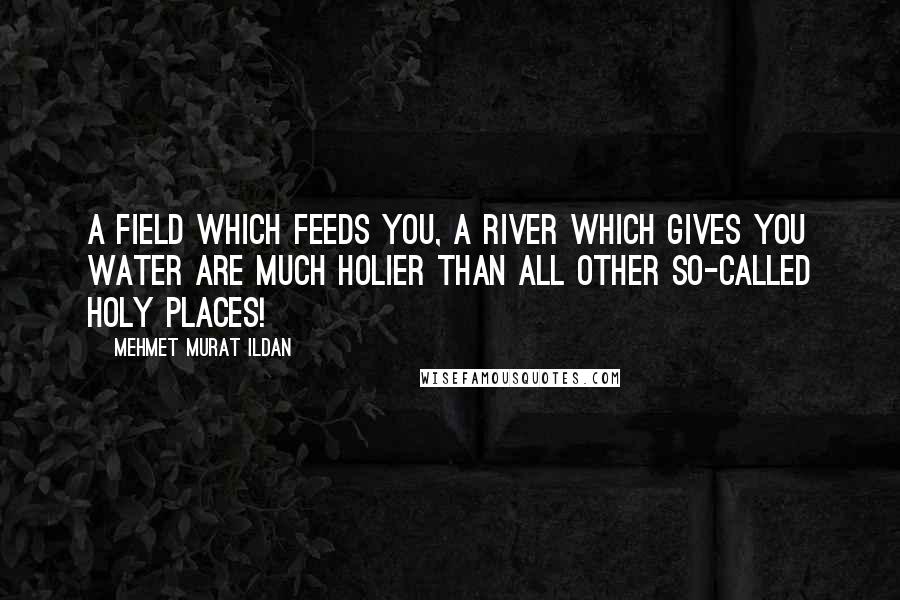 Mehmet Murat Ildan Quotes: A field which feeds you, a river which gives you water are much holier than all other so-called holy places!