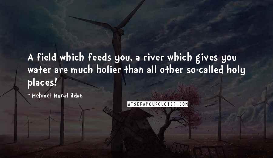 Mehmet Murat Ildan Quotes: A field which feeds you, a river which gives you water are much holier than all other so-called holy places!