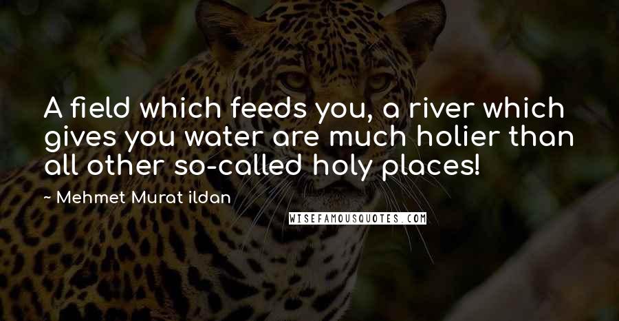 Mehmet Murat Ildan Quotes: A field which feeds you, a river which gives you water are much holier than all other so-called holy places!