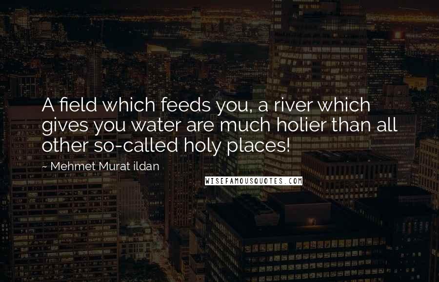 Mehmet Murat Ildan Quotes: A field which feeds you, a river which gives you water are much holier than all other so-called holy places!