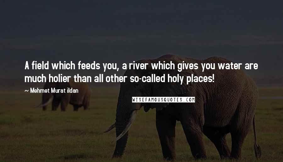 Mehmet Murat Ildan Quotes: A field which feeds you, a river which gives you water are much holier than all other so-called holy places!