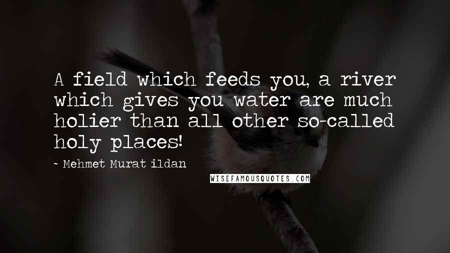 Mehmet Murat Ildan Quotes: A field which feeds you, a river which gives you water are much holier than all other so-called holy places!