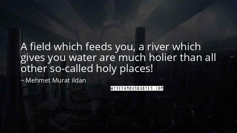 Mehmet Murat Ildan Quotes: A field which feeds you, a river which gives you water are much holier than all other so-called holy places!