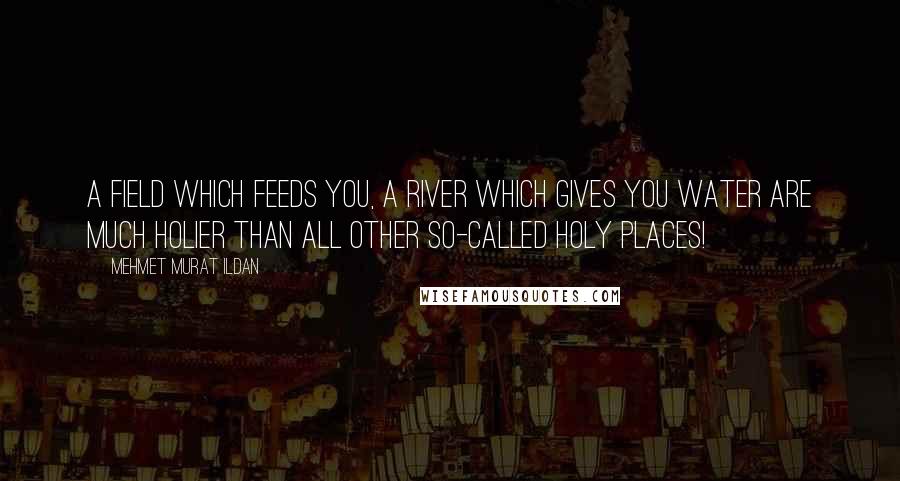 Mehmet Murat Ildan Quotes: A field which feeds you, a river which gives you water are much holier than all other so-called holy places!