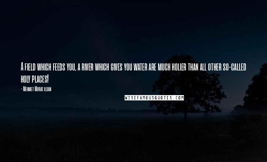 Mehmet Murat Ildan Quotes: A field which feeds you, a river which gives you water are much holier than all other so-called holy places!