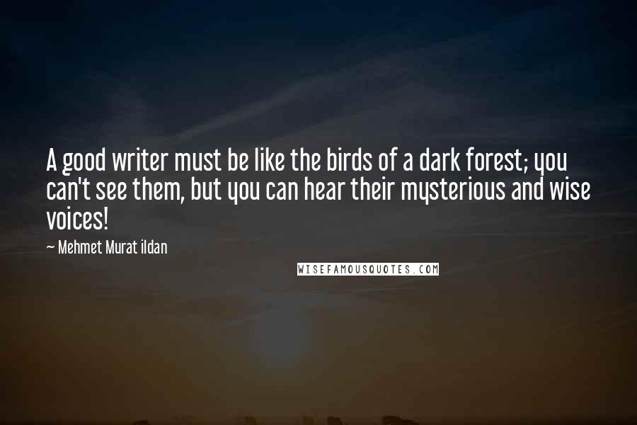 Mehmet Murat Ildan Quotes: A good writer must be like the birds of a dark forest; you can't see them, but you can hear their mysterious and wise voices!