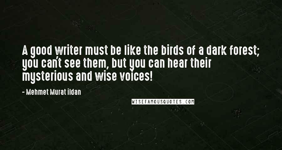 Mehmet Murat Ildan Quotes: A good writer must be like the birds of a dark forest; you can't see them, but you can hear their mysterious and wise voices!