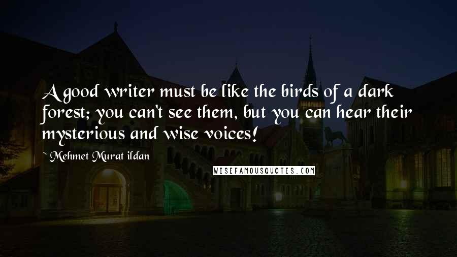 Mehmet Murat Ildan Quotes: A good writer must be like the birds of a dark forest; you can't see them, but you can hear their mysterious and wise voices!