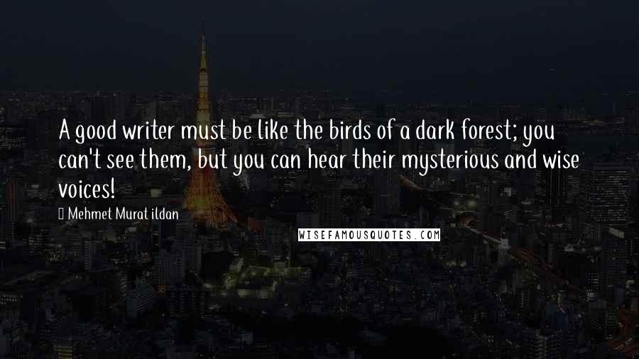 Mehmet Murat Ildan Quotes: A good writer must be like the birds of a dark forest; you can't see them, but you can hear their mysterious and wise voices!