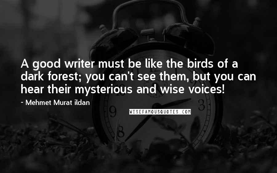 Mehmet Murat Ildan Quotes: A good writer must be like the birds of a dark forest; you can't see them, but you can hear their mysterious and wise voices!