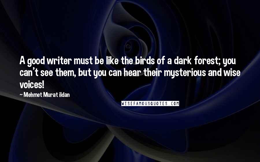 Mehmet Murat Ildan Quotes: A good writer must be like the birds of a dark forest; you can't see them, but you can hear their mysterious and wise voices!