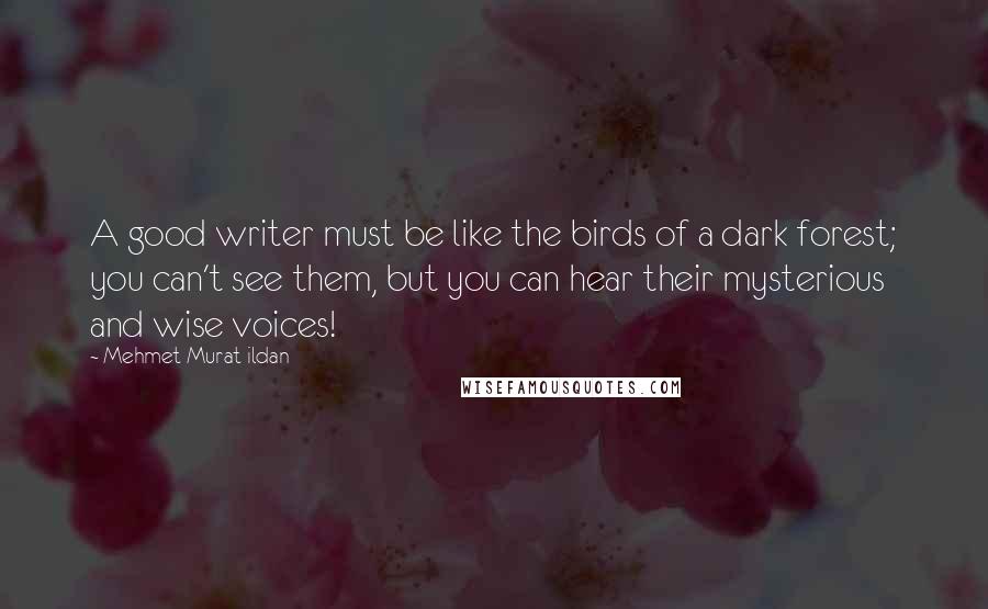 Mehmet Murat Ildan Quotes: A good writer must be like the birds of a dark forest; you can't see them, but you can hear their mysterious and wise voices!