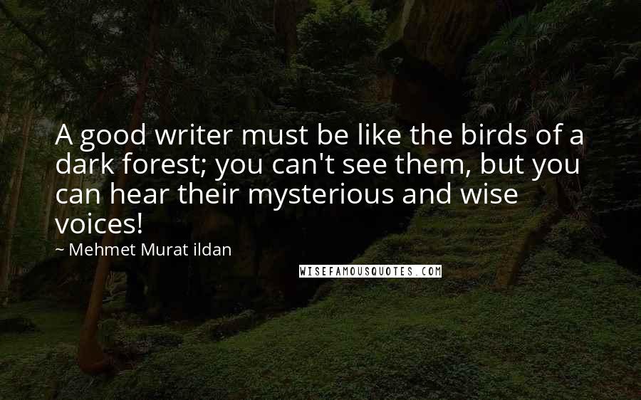 Mehmet Murat Ildan Quotes: A good writer must be like the birds of a dark forest; you can't see them, but you can hear their mysterious and wise voices!