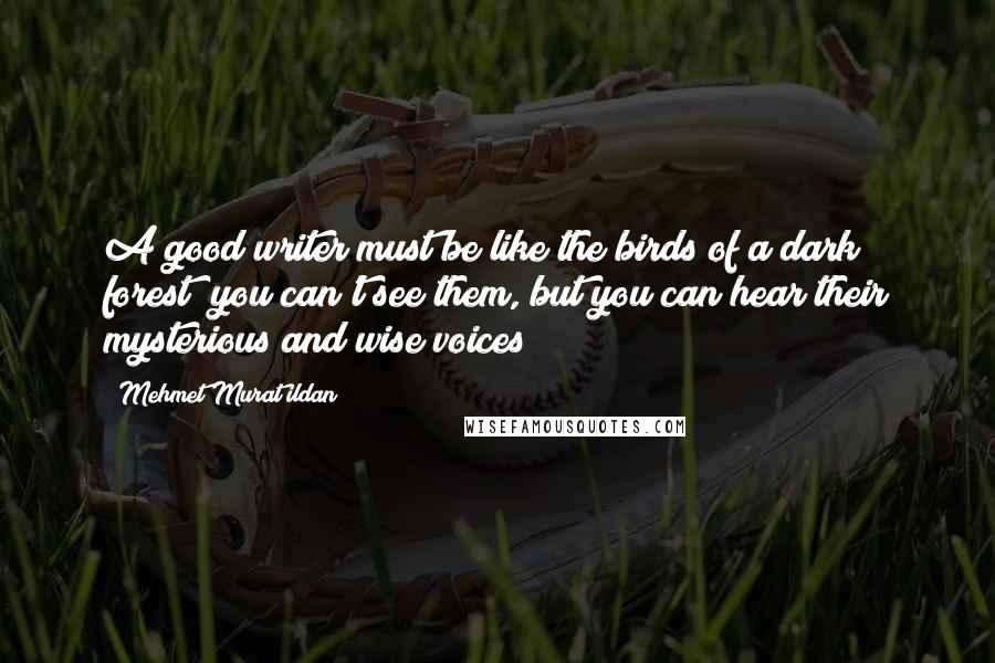 Mehmet Murat Ildan Quotes: A good writer must be like the birds of a dark forest; you can't see them, but you can hear their mysterious and wise voices!