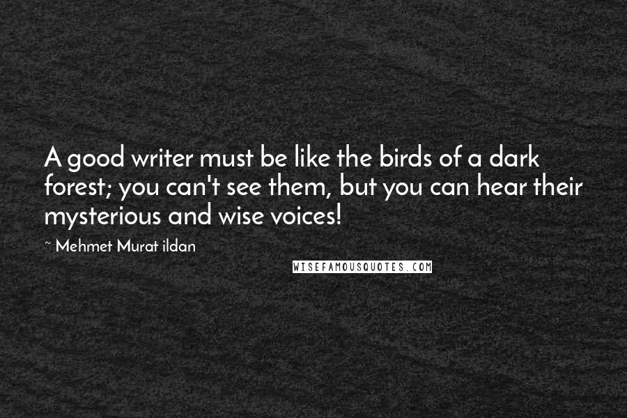 Mehmet Murat Ildan Quotes: A good writer must be like the birds of a dark forest; you can't see them, but you can hear their mysterious and wise voices!