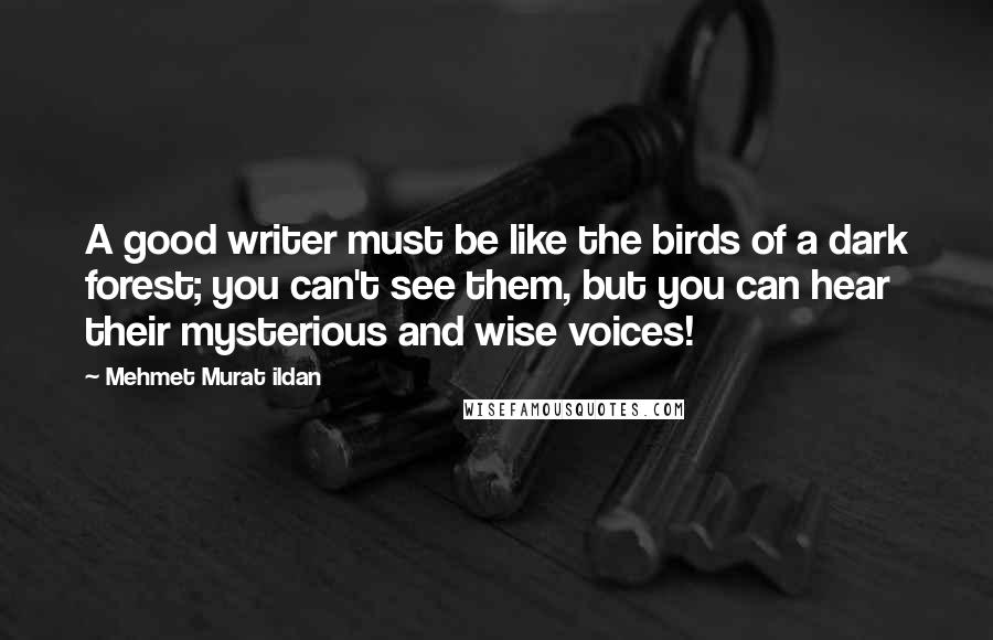 Mehmet Murat Ildan Quotes: A good writer must be like the birds of a dark forest; you can't see them, but you can hear their mysterious and wise voices!