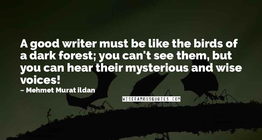 Mehmet Murat Ildan Quotes: A good writer must be like the birds of a dark forest; you can't see them, but you can hear their mysterious and wise voices!